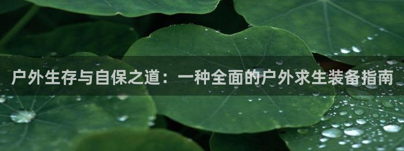 新宝gg平台下载安装