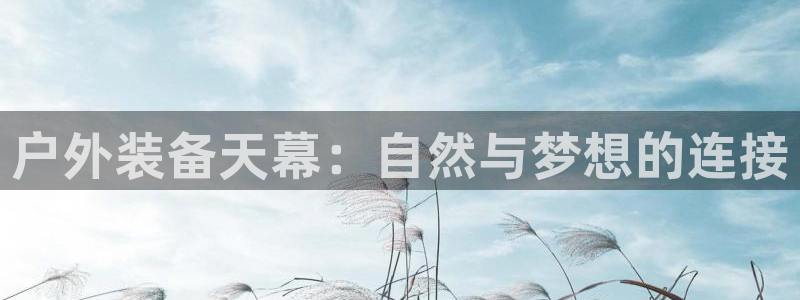 新宝gg吧