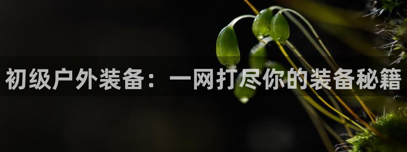 新宝gg招商致胜团队