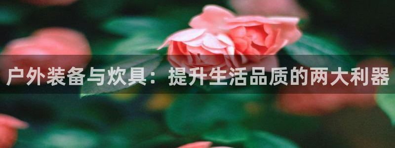 宝新gg