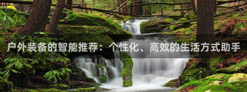 新宝gg提点